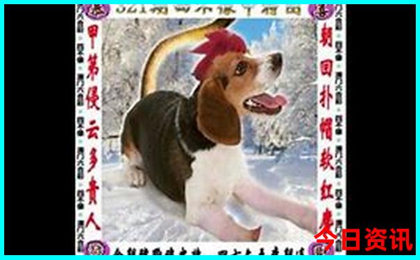 昆明市区有哪些景点值得去玩